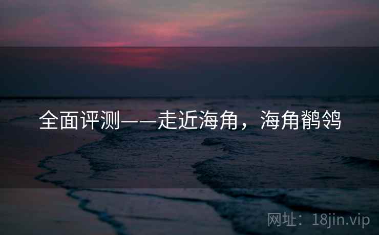全面评测——走近海角，海角鹡鸰