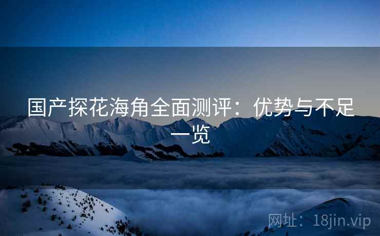 国产探花海角全面测评：优势与不足一览