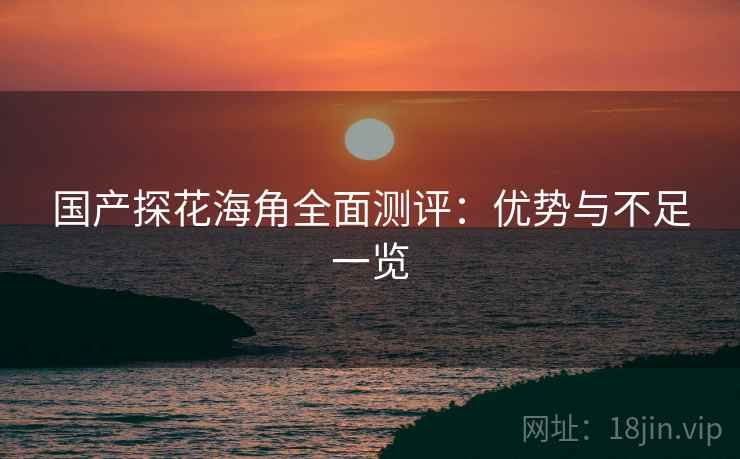 国产探花海角全面测评：优势与不足一览
