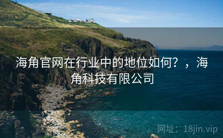 海角官网在行业中的地位如何？，海角科技有限公司
