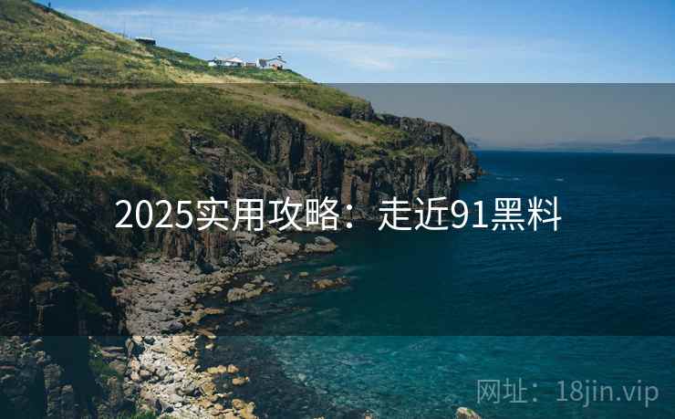 2025实用攻略：走近91黑料