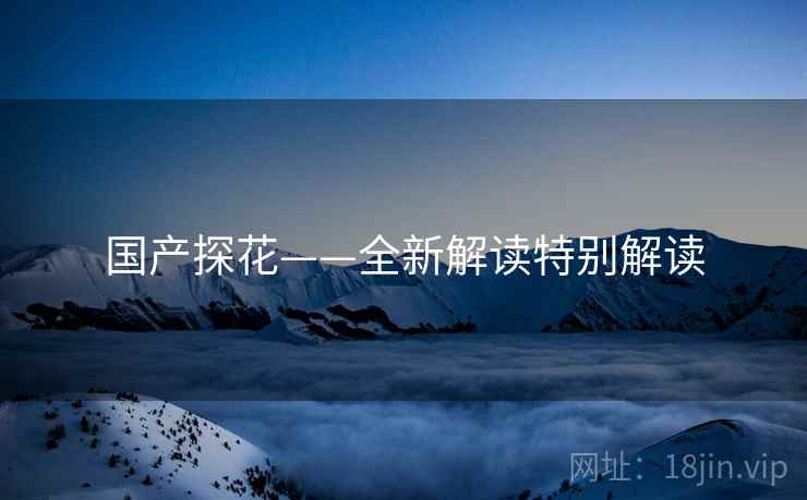 国产探花——全新解读特别解读