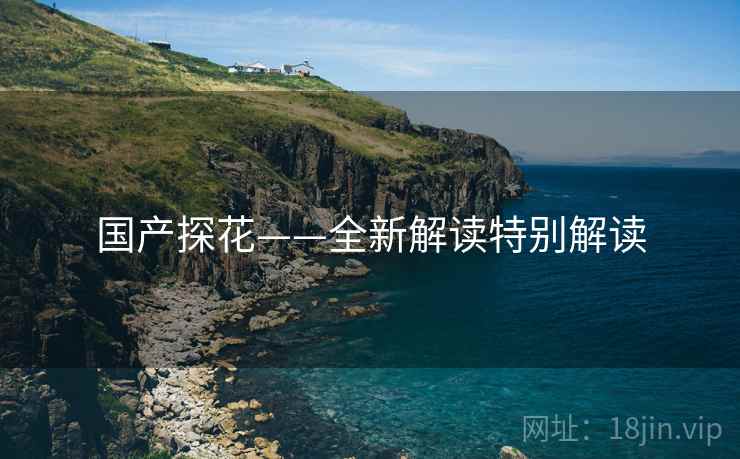 国产探花——全新解读特别解读