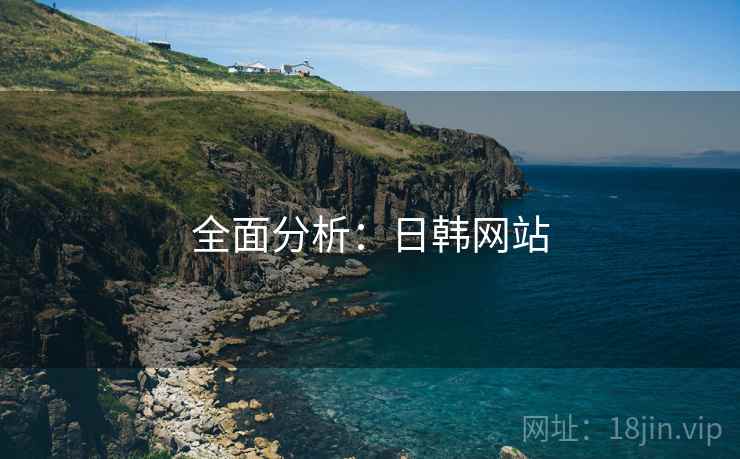 全面分析：日韩网站