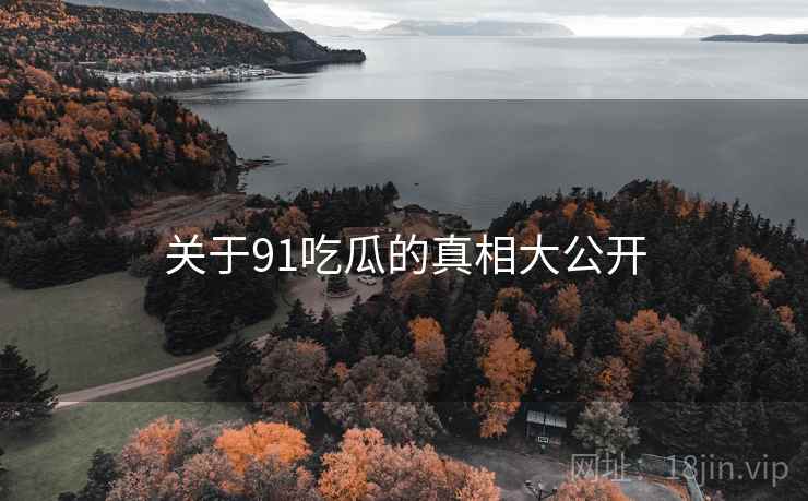 关于91吃瓜的真相大公开