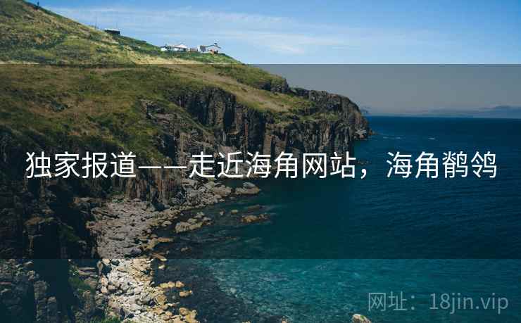 独家报道——走近海角网站，海角鹡鸰