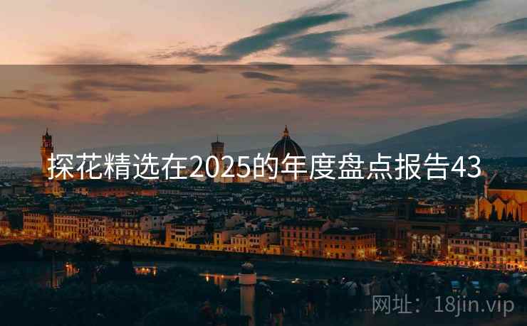 探花精选在2025的年度盘点报告43