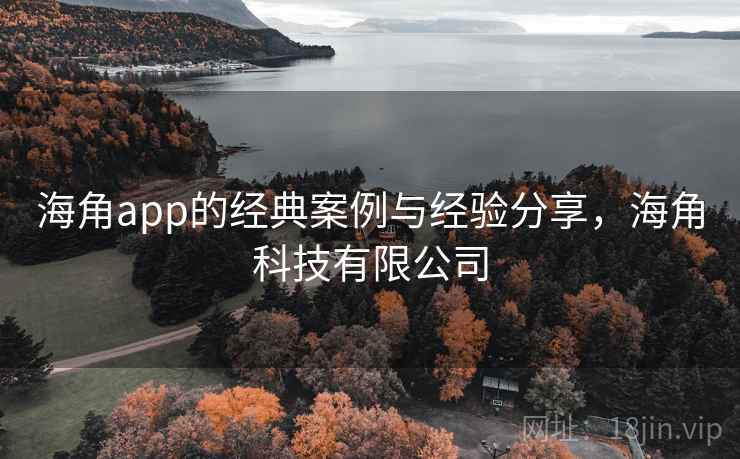 海角app的经典案例与经验分享，海角科技有限公司