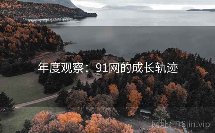 年度观察：91网的成长轨迹