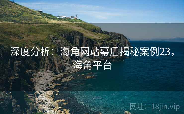 深度分析：海角网站幕后揭秘案例23，海角平台