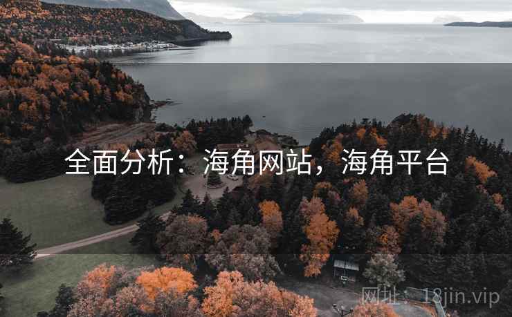 全面分析：海角网站，海角平台