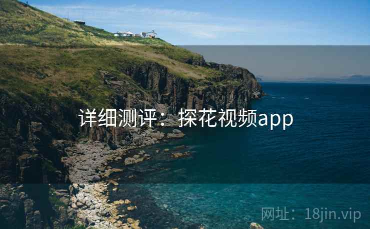详细测评：探花视频app