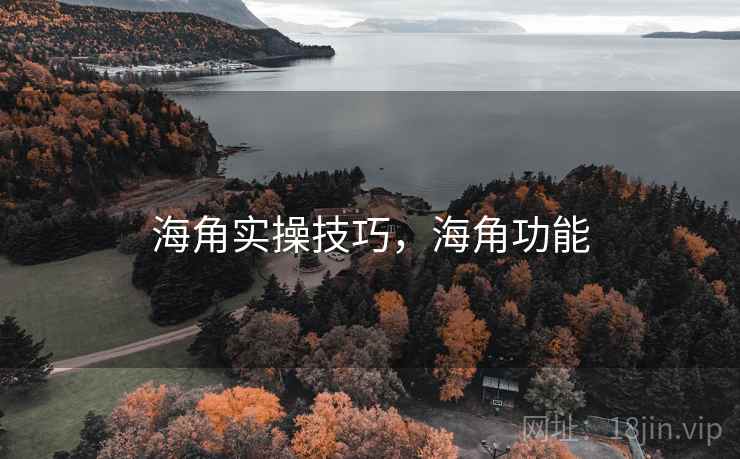 海角实操技巧，海角功能