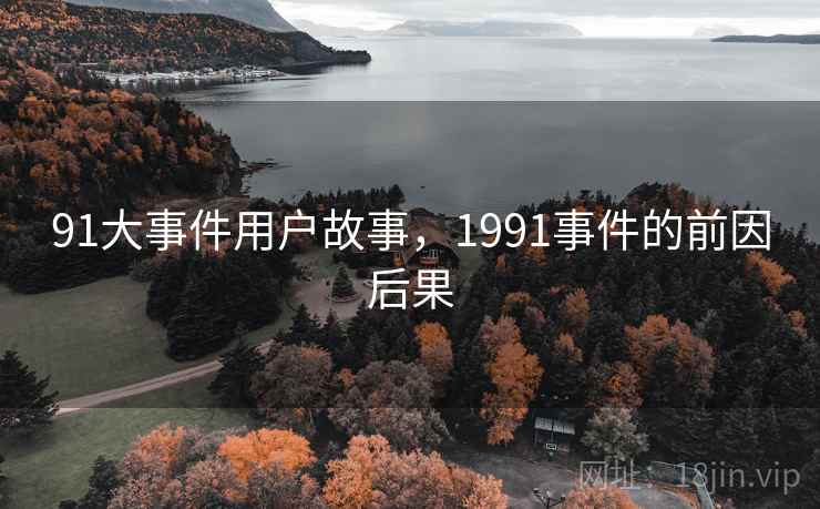 91大事件用户故事，1991事件的前因后果